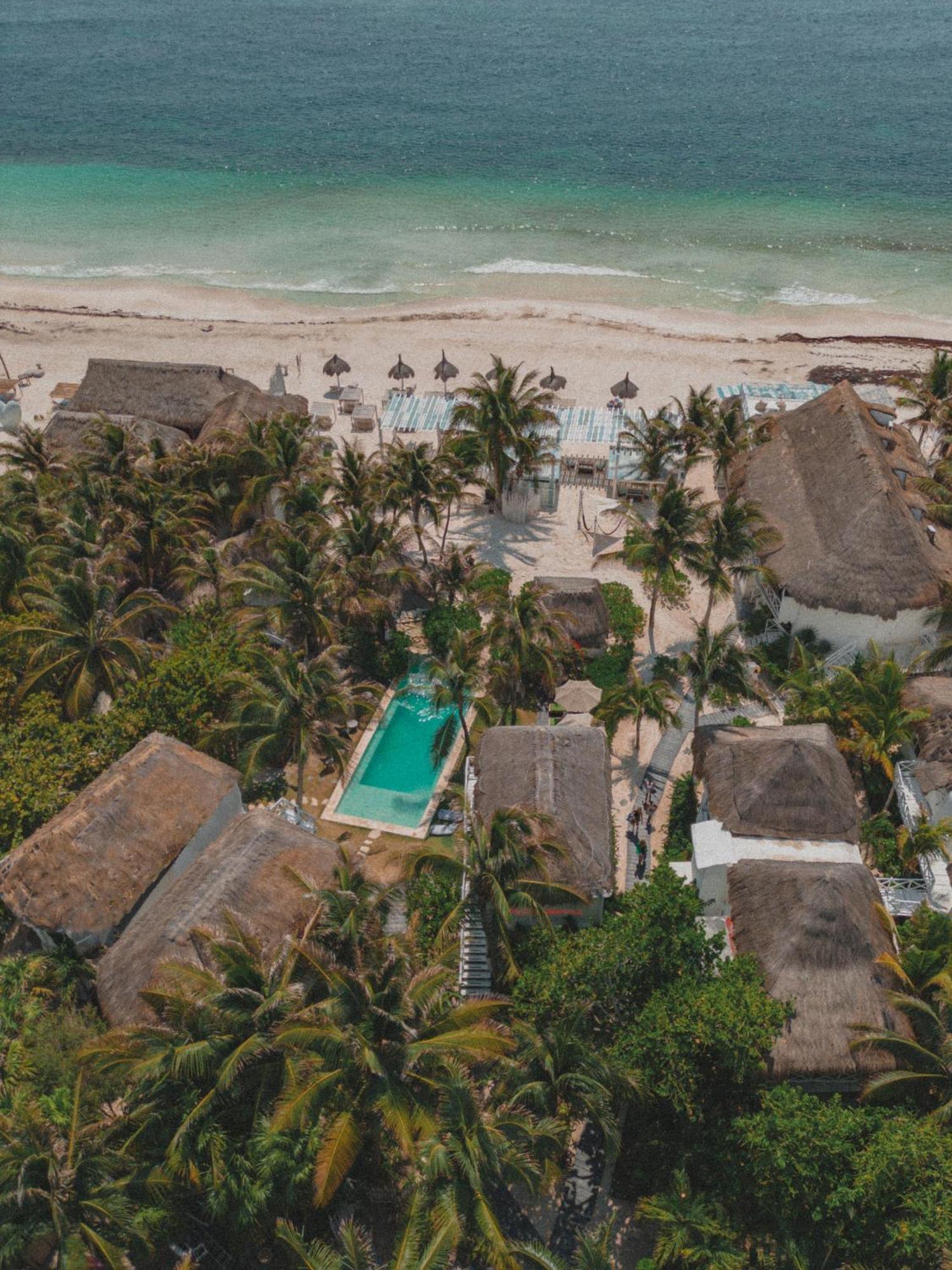 Hotel Coco Unlimited Tulum Exteriér fotografie